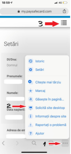 Paysafe_Guide_4.PNG